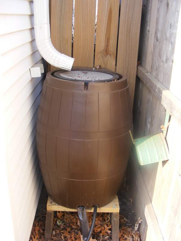 One of our rain barrels in place.