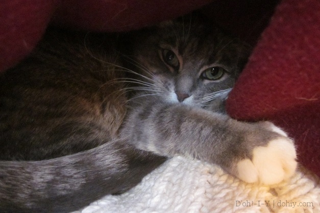 Peeking under the blanket at Mayya
