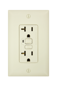 GFCI outlet (sometimes called a GFI). The "test" and "reset" buttons are in the middle.
